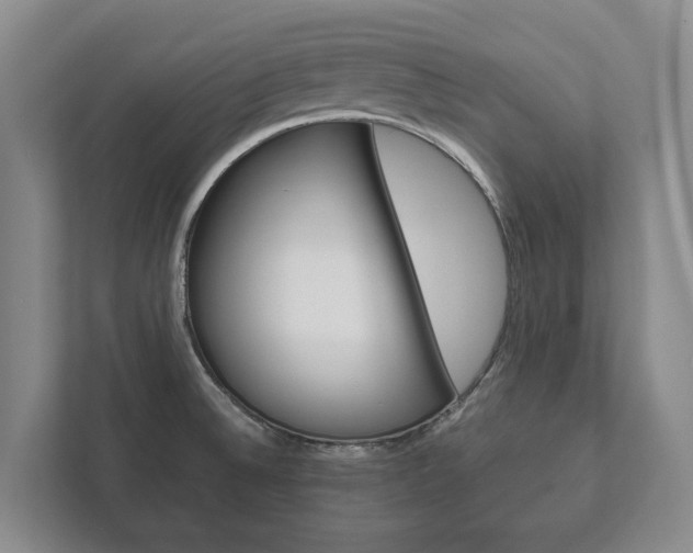 X0000111841524200907231029