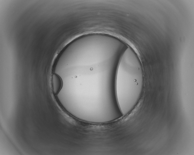 X0000111841525200907231029