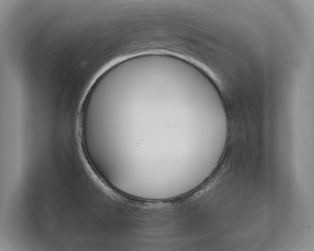 X0000111841526200907231029