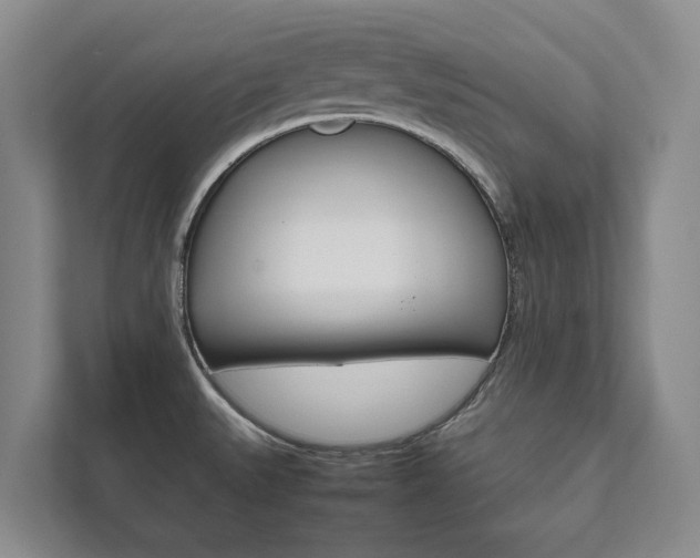 X0000111841527200907231029