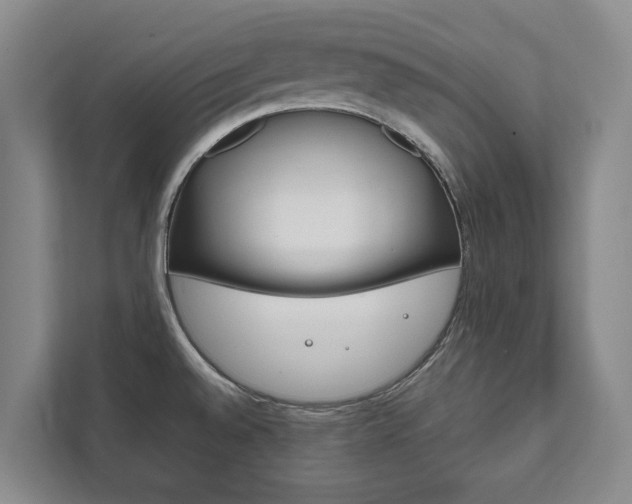 X0000111841528200907231029