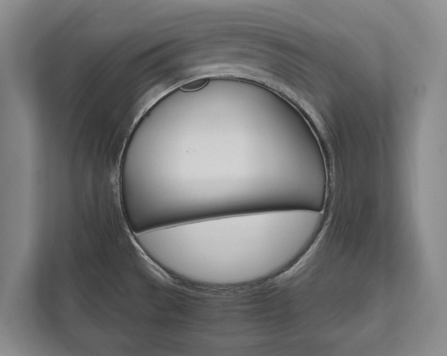 X0000111841529200907231029