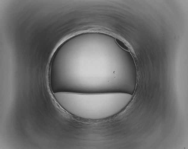 X0000111841530200907231029