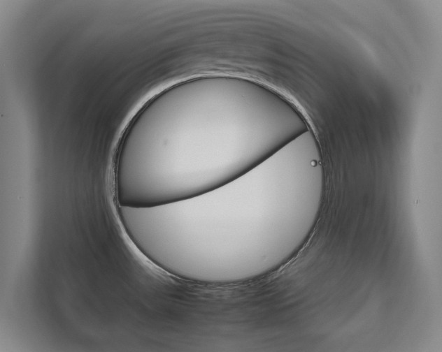 X0000111841531200907231029