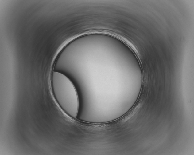 X0000111841533200907231029