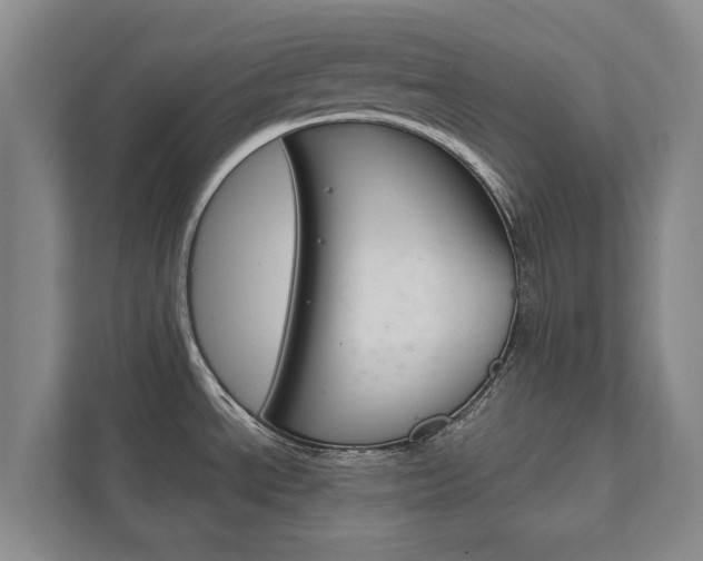 X0000111841534200907231029