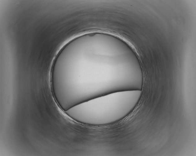 X0000111841535200907231029