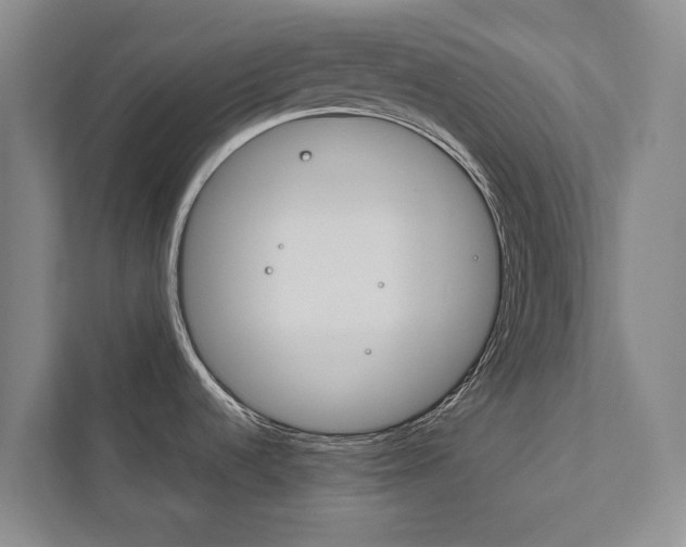 X0000111841536200907231029
