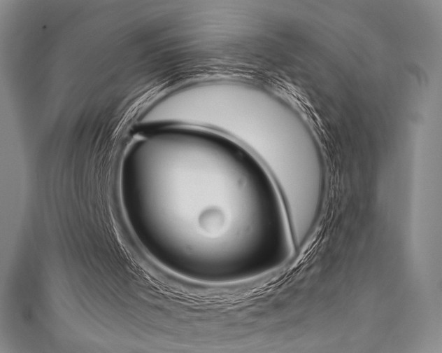 X0000111840001200907231417