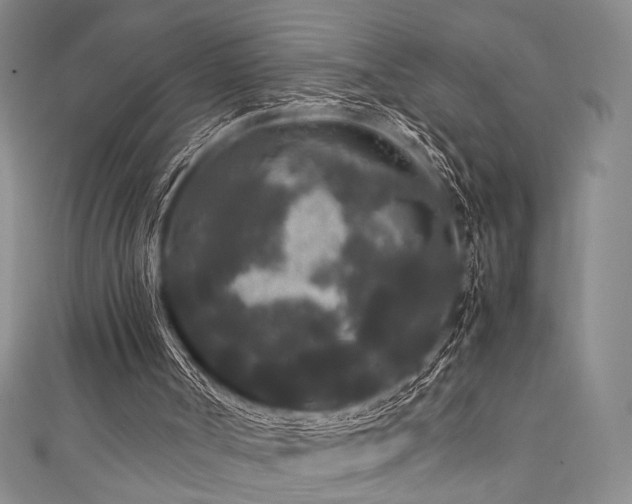 X0000111840002200907231417