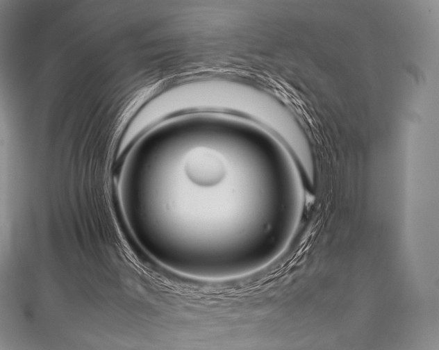 X0000111840003200907231417