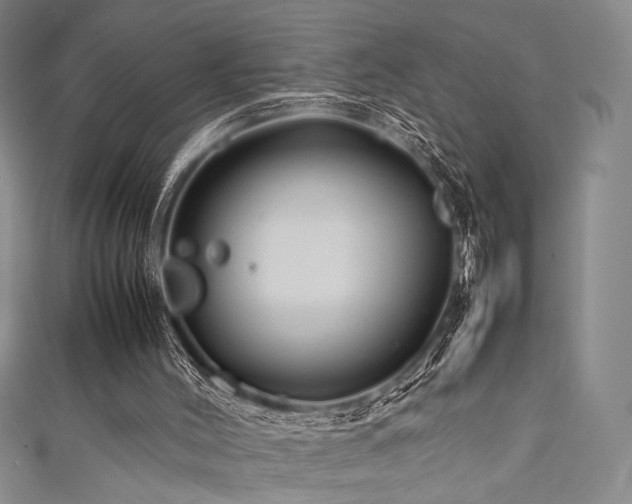 X0000111840004200907231417