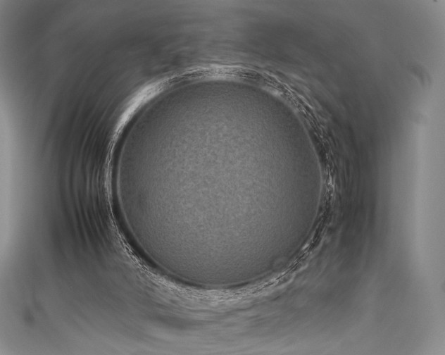 X0000111840006200907231417