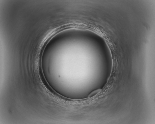 X0000111840007200907231417