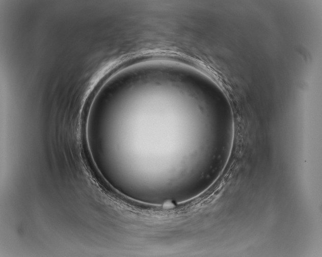 X0000111840008200907231417