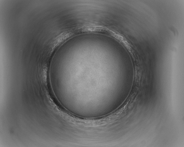 X0000111840010200907231417