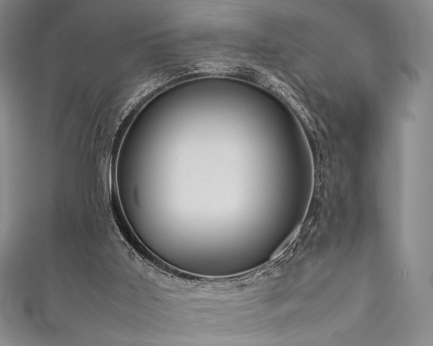 X0000111840011200907231417