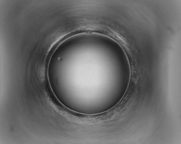 X0000111840012200907231417