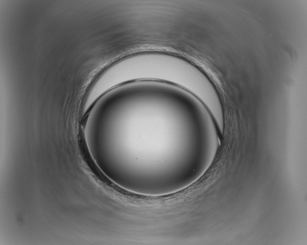 X0000111840015200907231417