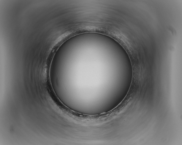 X0000111840016200907231417