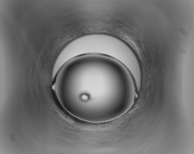 X0000111840017200907231417