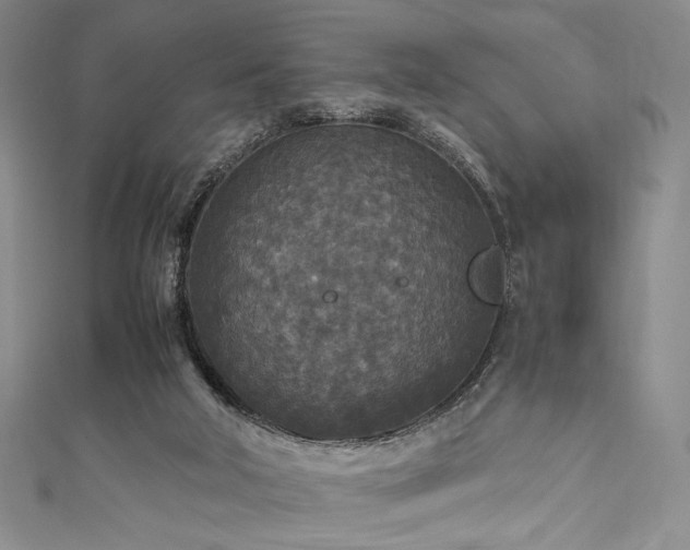 X0000111840018200907231417