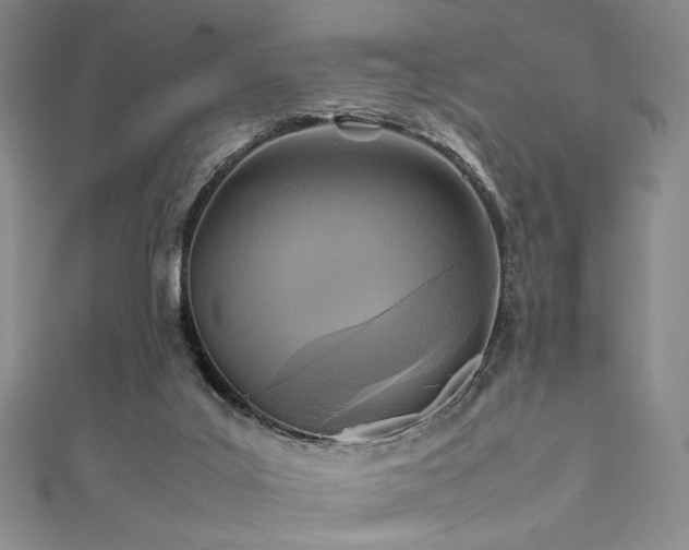 X0000111840019200907231417