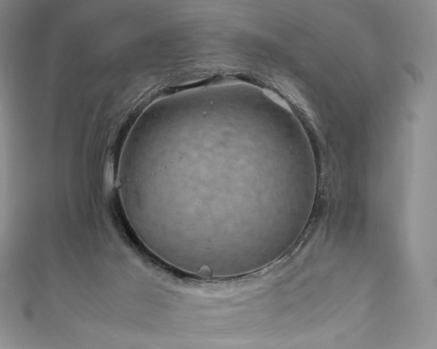 X0000111840021200907231417