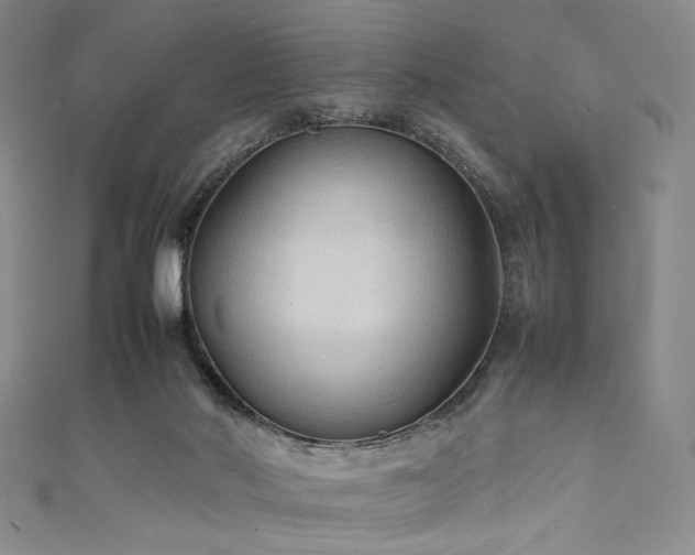 X0000111840022200907231417