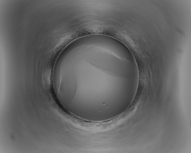 X0000111840023200907231417