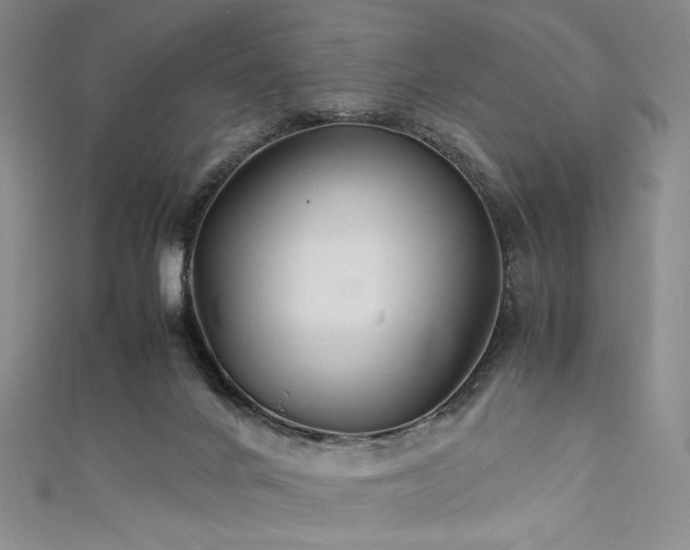 X0000111840024200907231417