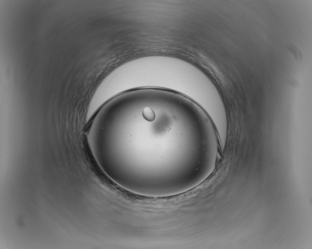 X0000111840025200907231417