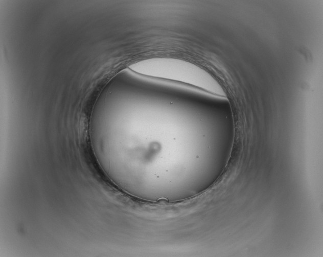 X0000111840029200907231417