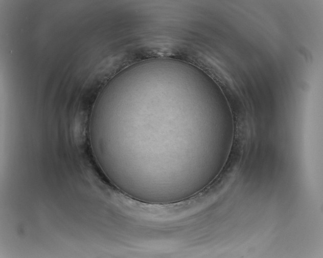 X0000111840030200907231417