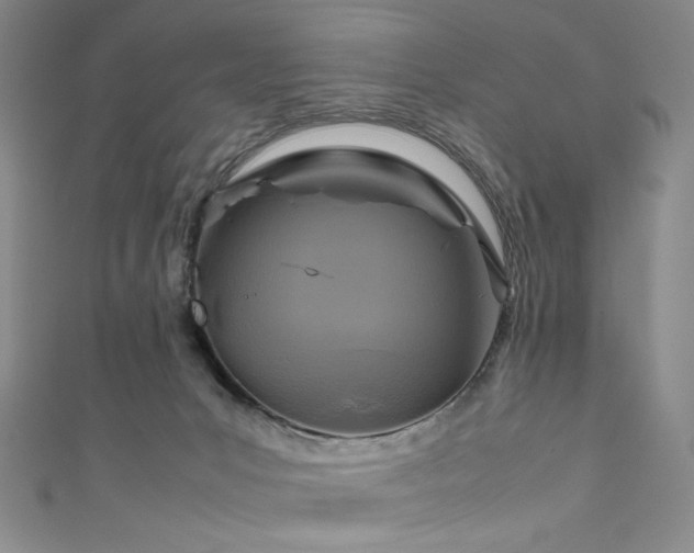 X0000111840031200907231417