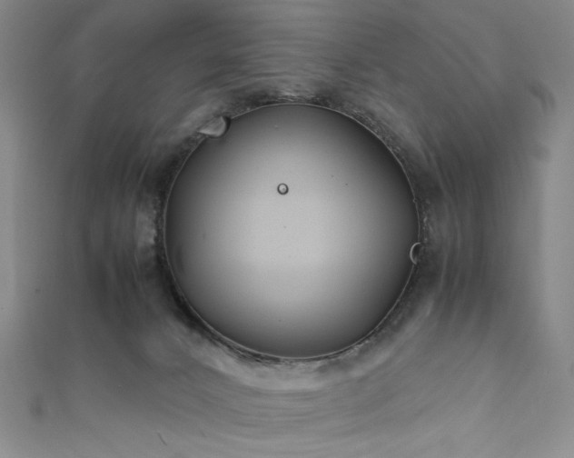 X0000111840032200907231417