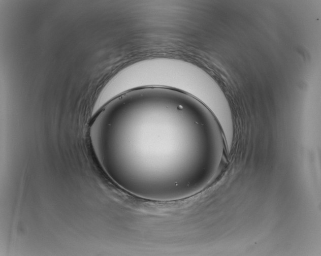 X0000111840033200907231417