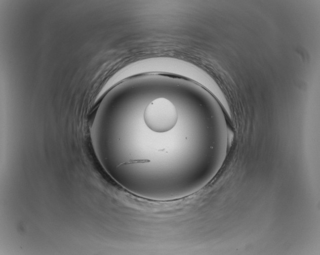 X0000111840035200907231417