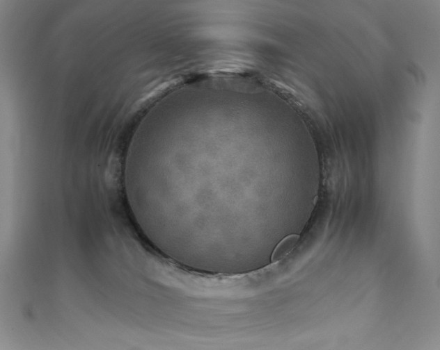 X0000111840036200907231417