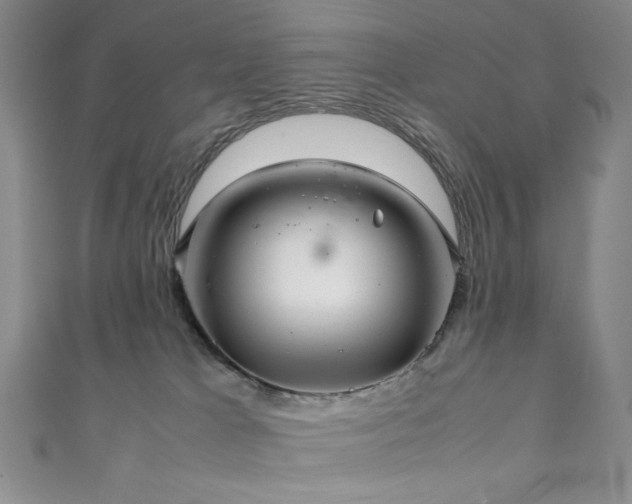 X0000111840037200907231417