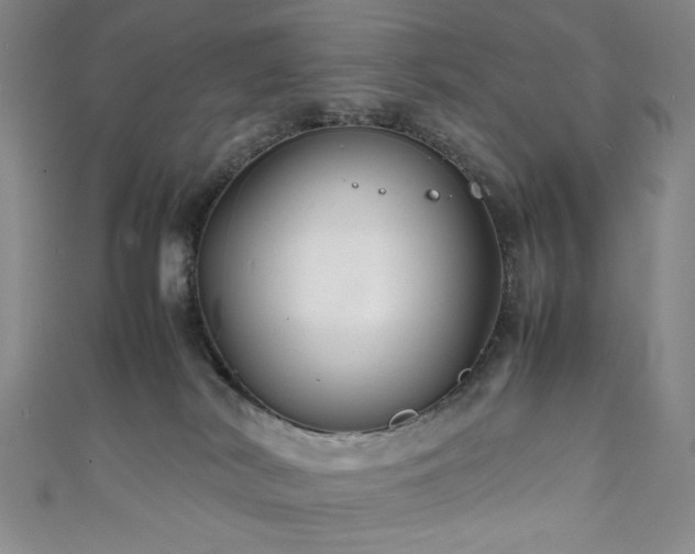 X0000111840038200907231417