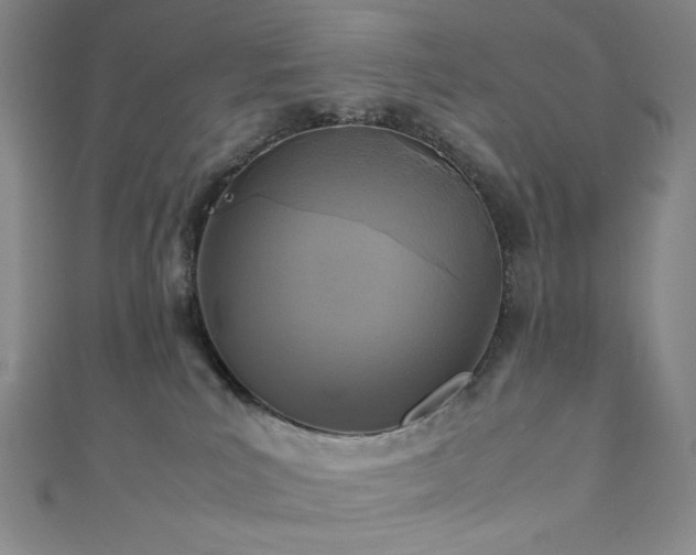 X0000111840039200907231417