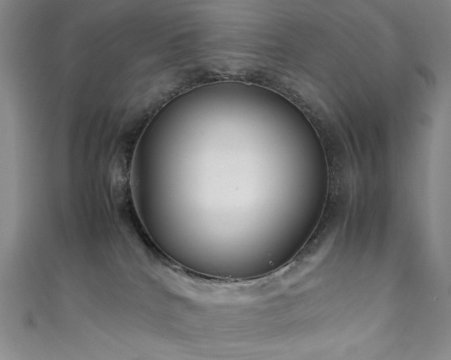 X0000111840040200907231417