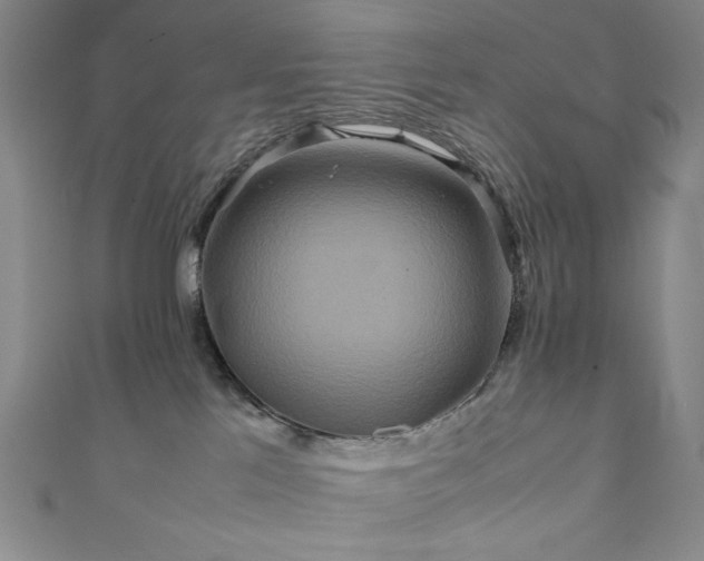 X0000111840041200907231417