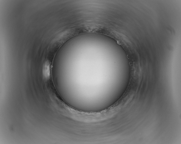 X0000111840042200907231417