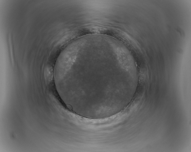 X0000111840043200907231417