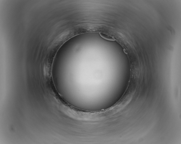 X0000111840044200907231417