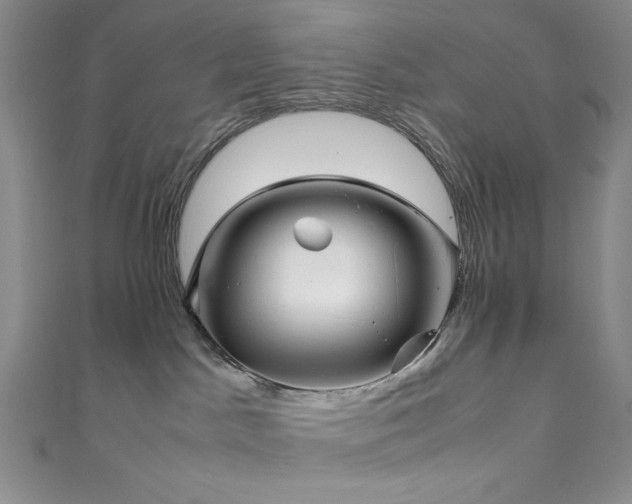 X0000111840045200907231417