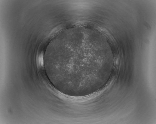 X0000111840046200907231417