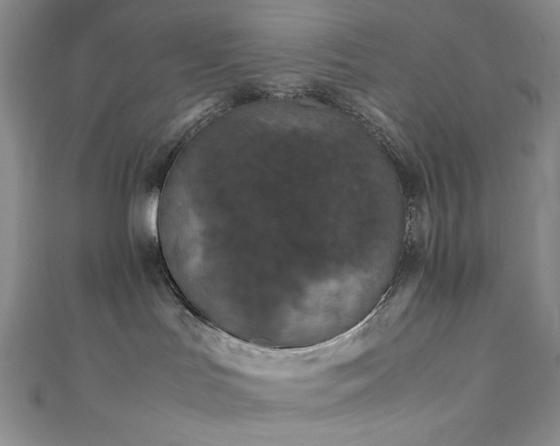 X0000111840047200907231417